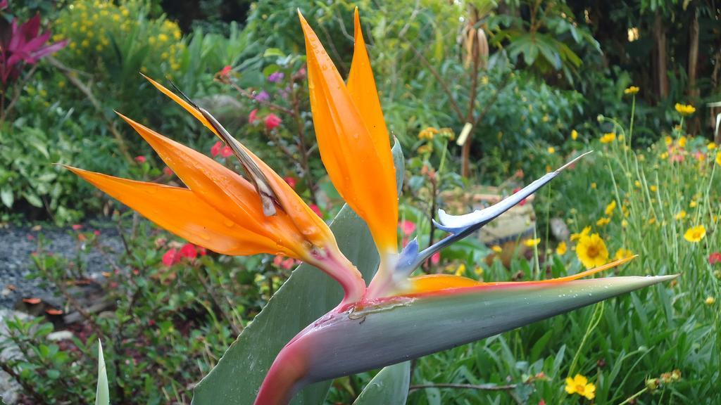 La Case Floria Сент-Андре Экстерьер фото