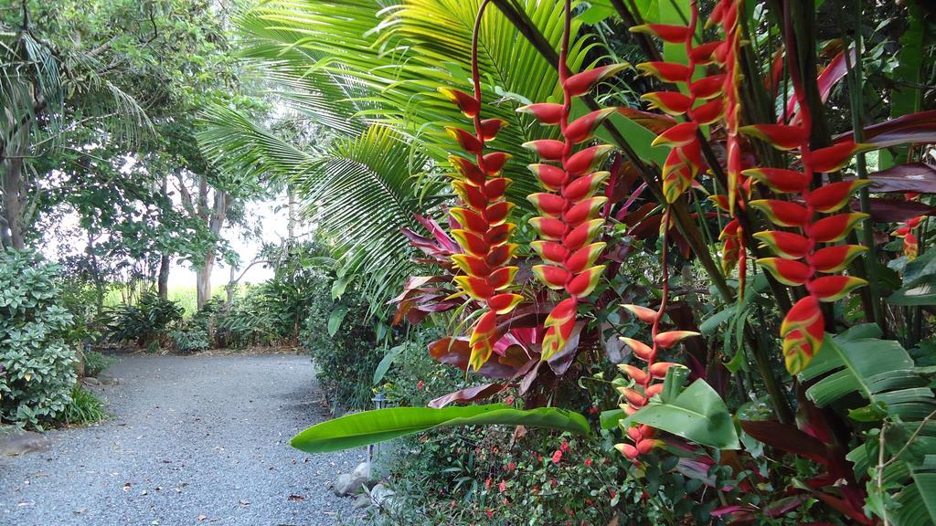 La Case Floria Сент-Андре Экстерьер фото